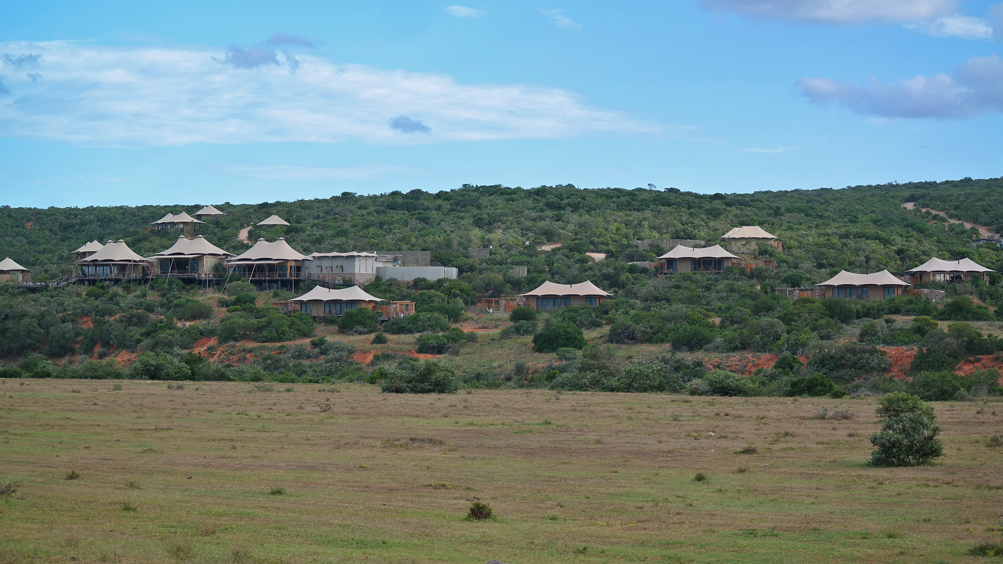 Sindile Safari Lodge