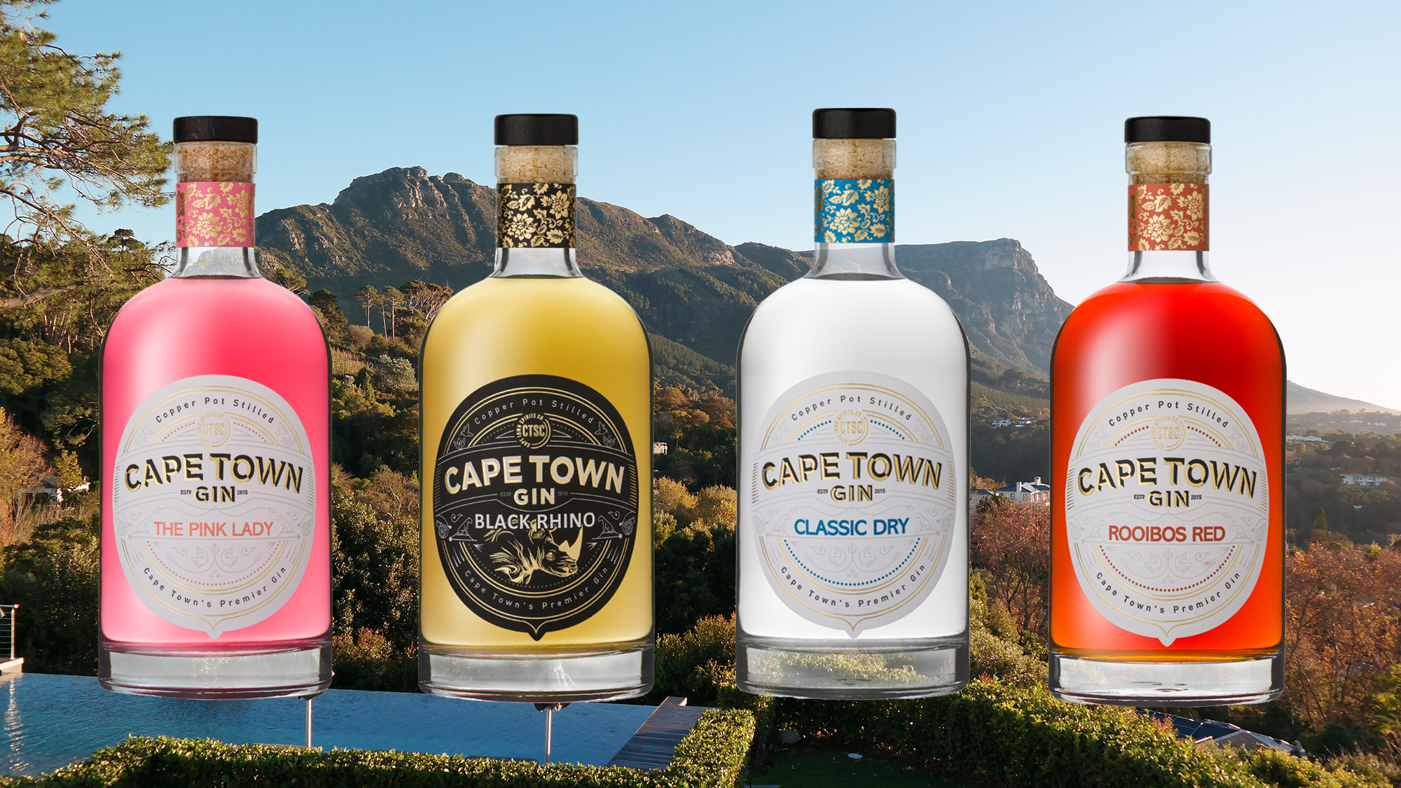 Cape Town Gin