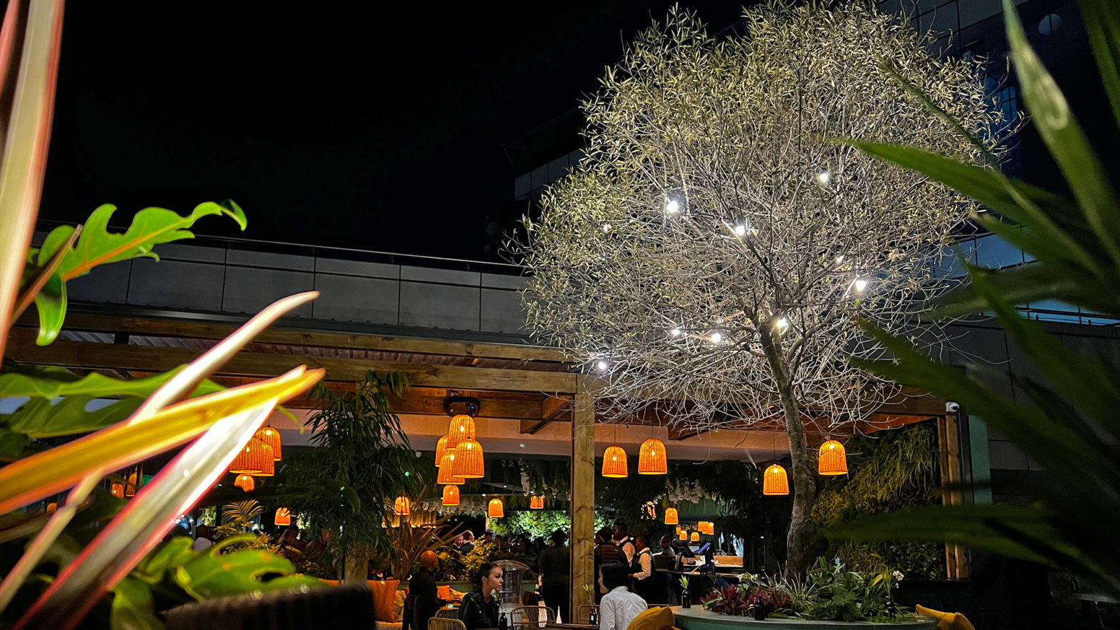 First Look: The Greenhouse Bar Reopens In Sandton - Sandton Times