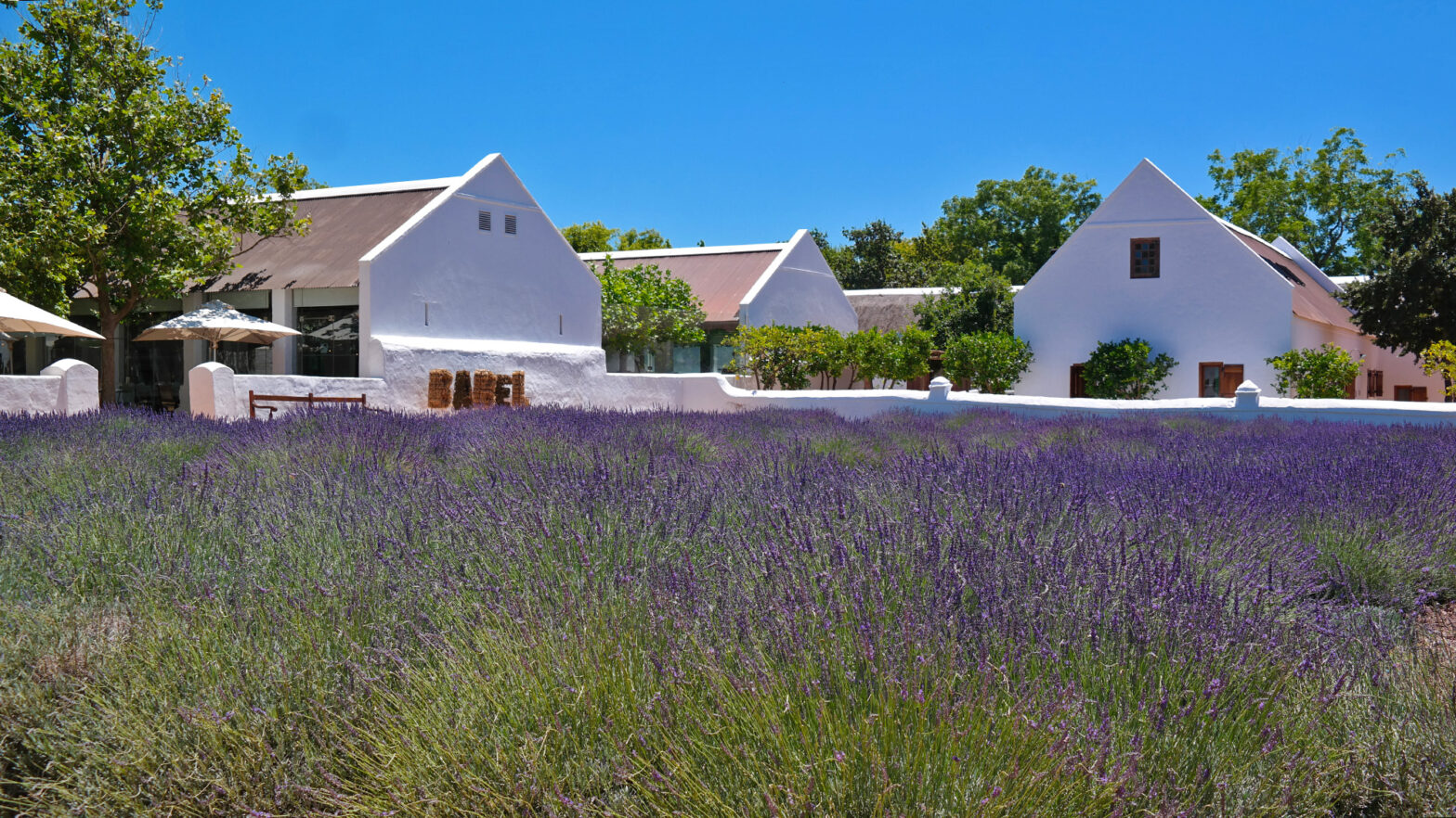 December Break: Walking The Gardens Of Babylonstoren 19 Babylonstoren