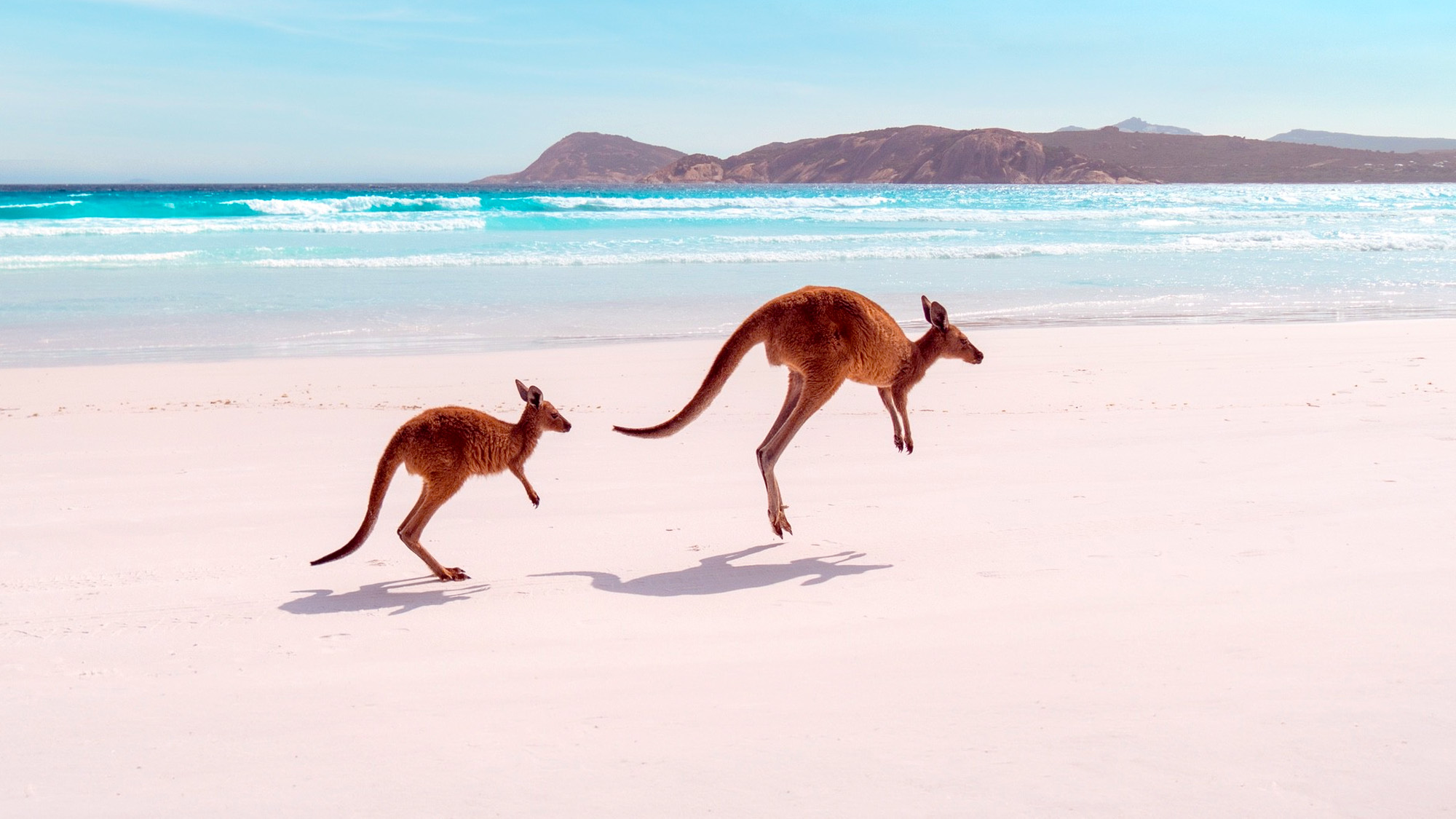 Qantas Launches Direct Johannesburg To Perth Flights 19 Qantas